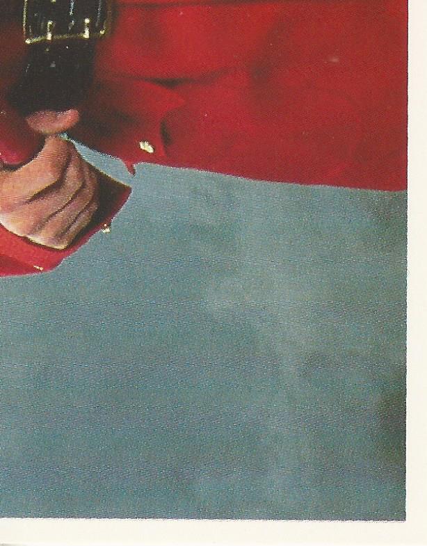 WWF Merlin Stickers 1991 The Mountie #129