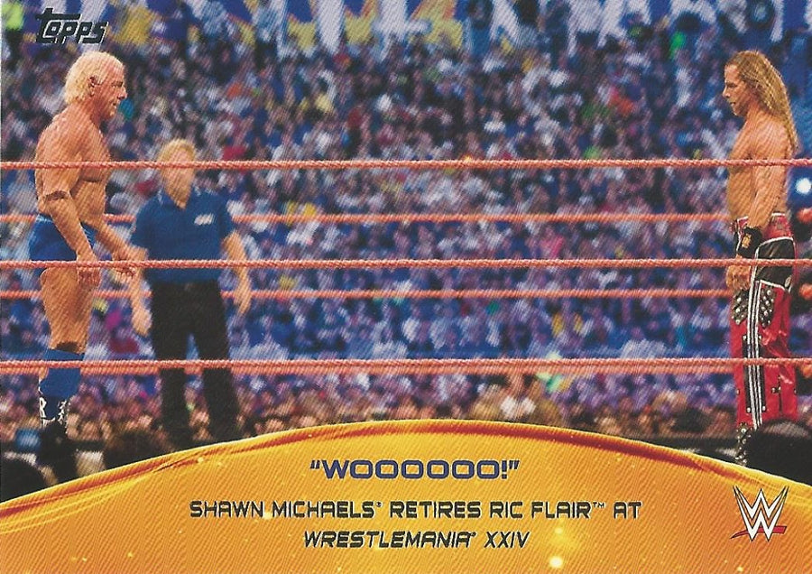 WWE Topps 2015 Ric Flair 9 of 10