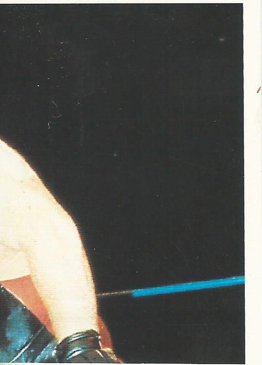 WCW Euroflash 1992 Sticker Vader #129