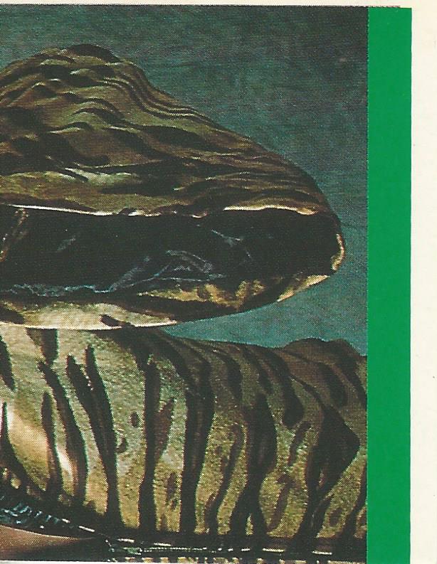 WWF Merlin Sticker Collection 1990 Jimmy Snuka #129