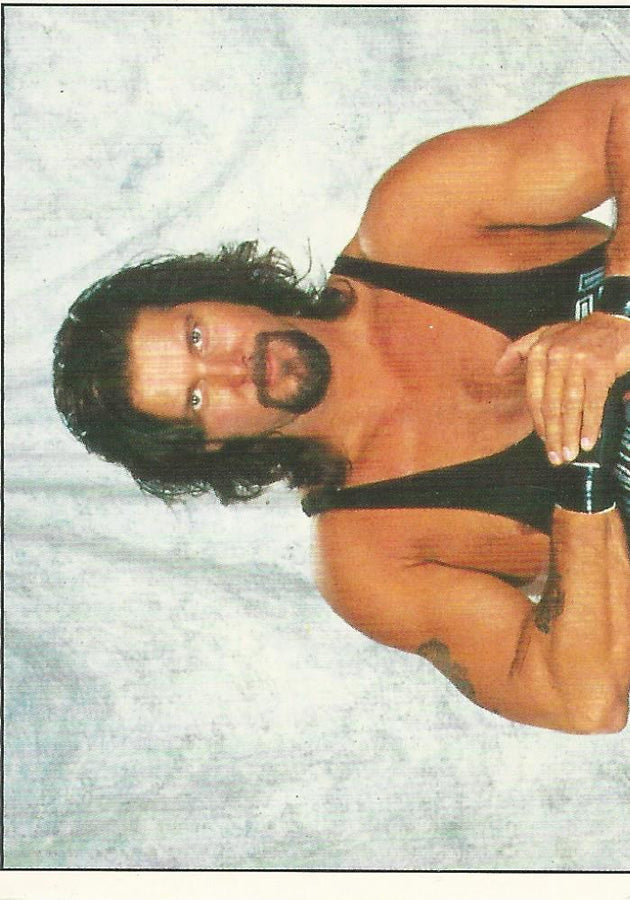 WWF Panini 1995 Sticker Collection Diesel #12