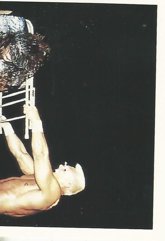 WCW Euroflash 1992 Sticker Sting #12