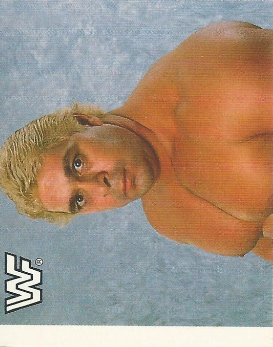 WWF Merlin Sticker Collection 1990 Dino Bravo #12