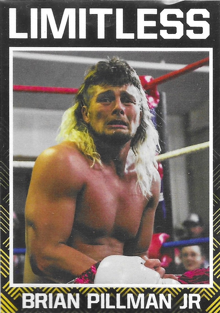 Brian Pillman JR.