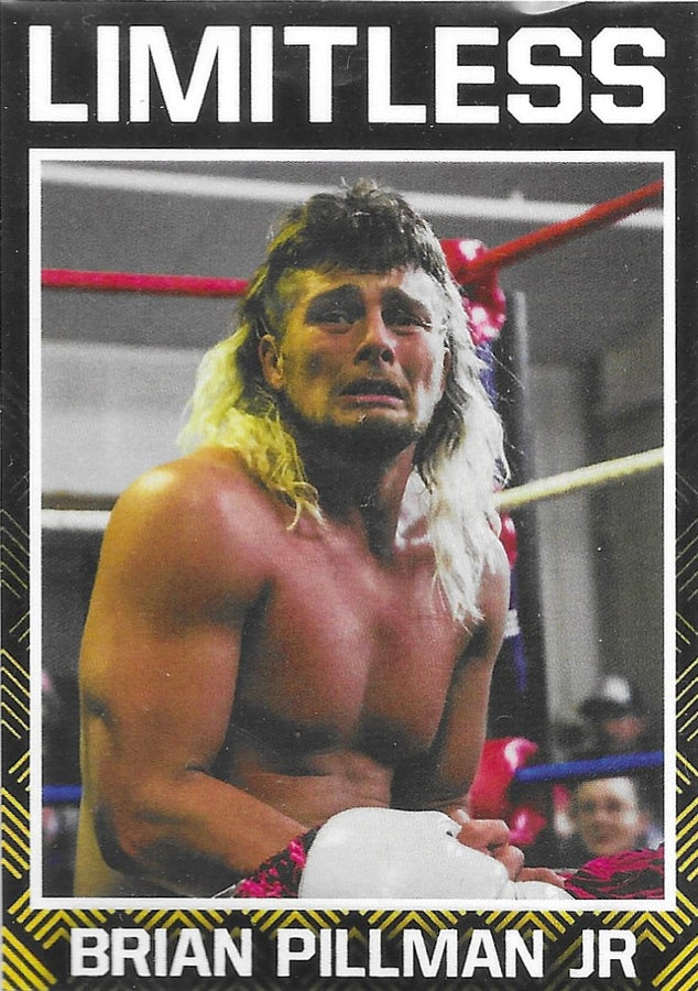 Brian Pillman JR.