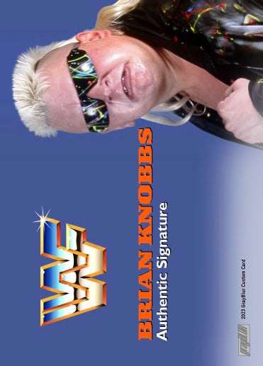 Brian Knobbs – WWF