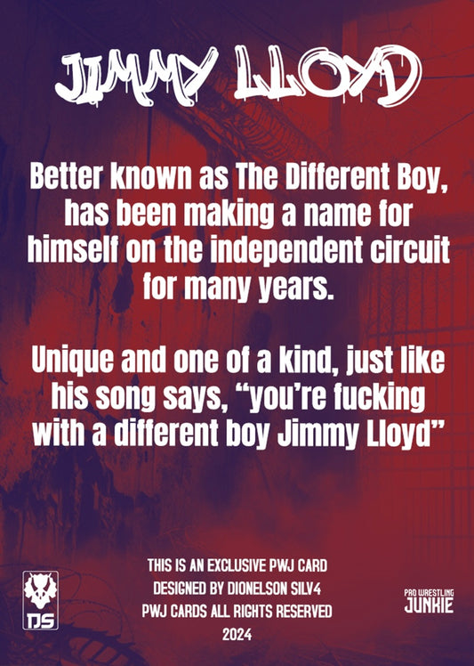 Jimmy Lloyd - image 2