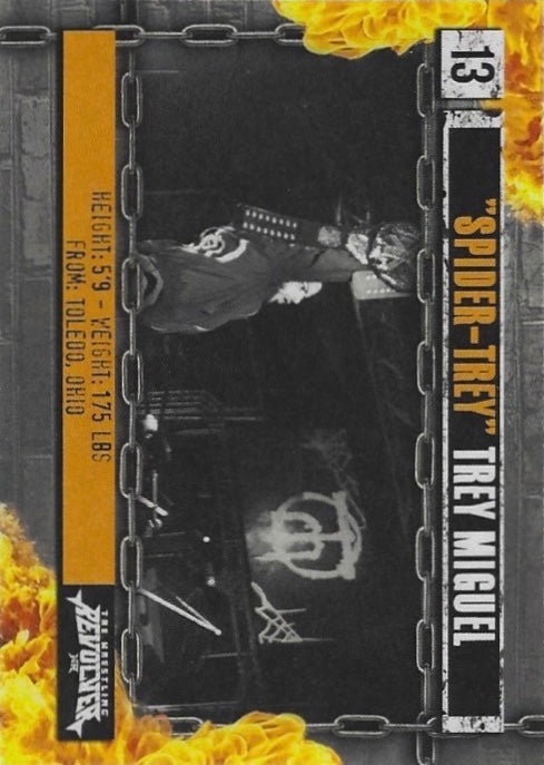 “Spider-Trey” Trey Miguel trading card PW Catalog