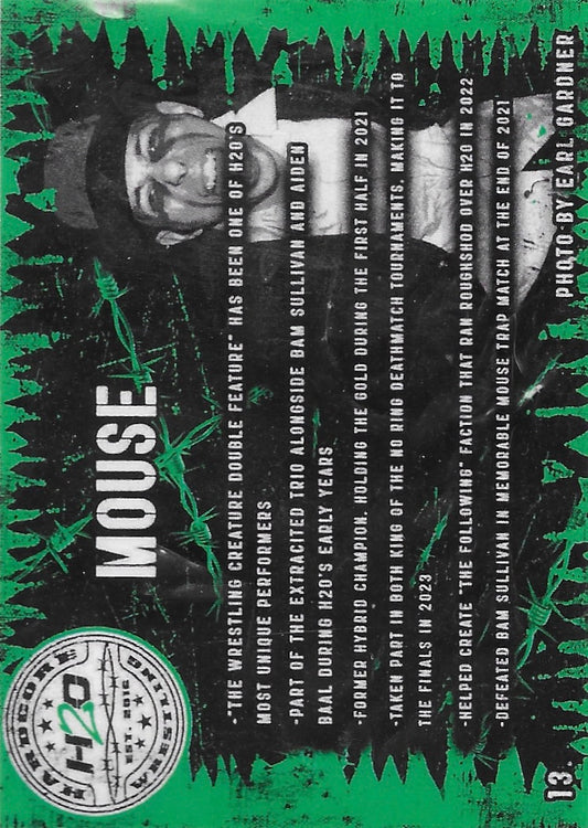 Mouse