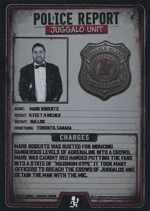 Mark Roberts - image 2