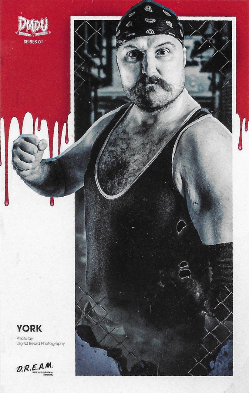 York trading card PW Catalog