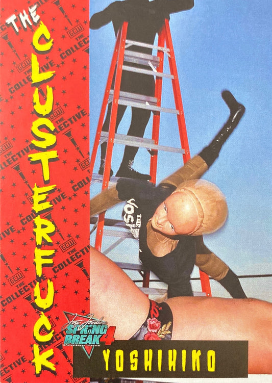 Yoshihiko trading card PW Catalog