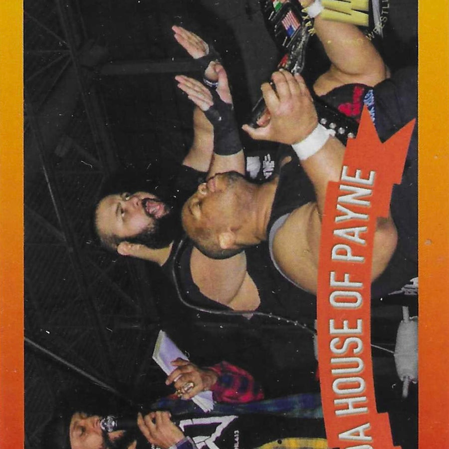 DA House of Payne trading card PW Catalog