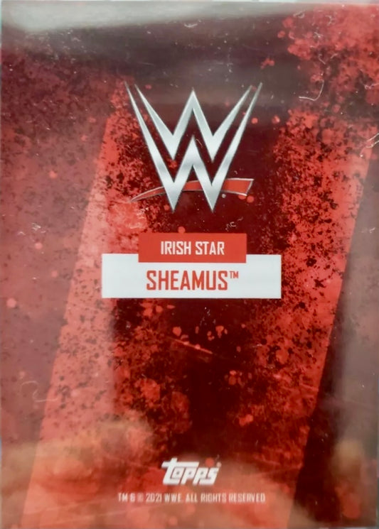 Irish Star – Sheamus trading card PW Catalog