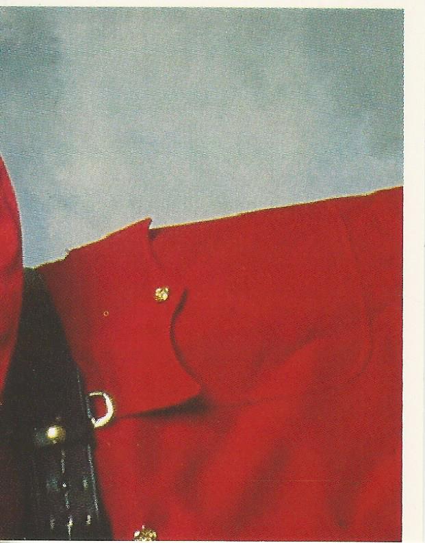 WWF Merlin Stickers 1991 The Mountie #130