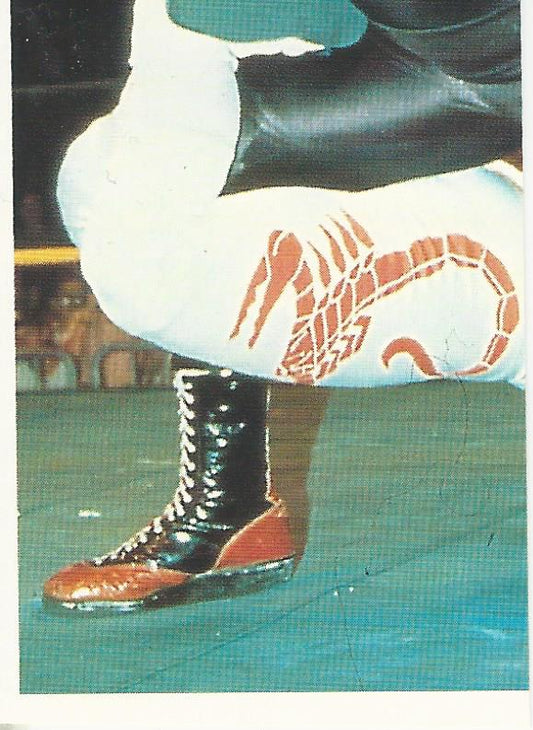 WCW Euroflash 1992 Sticker Vader #130