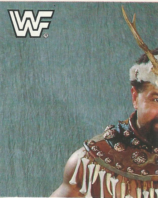 WWF Merlin Sticker Collection 1990 Barbarian #130