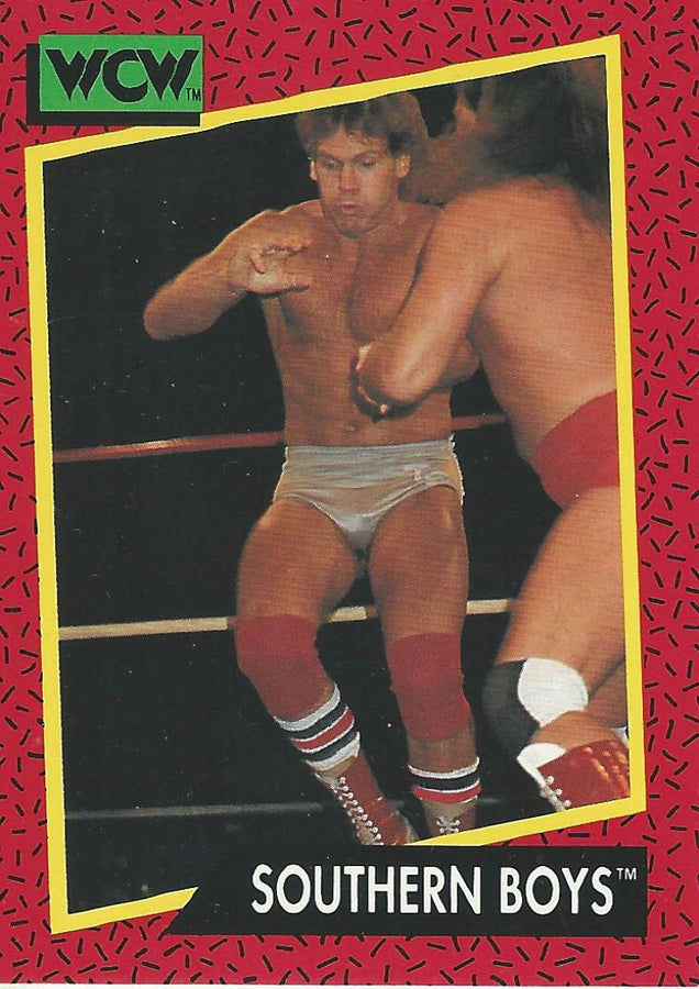 WCW Impel 1991 Tracy Smothers #130