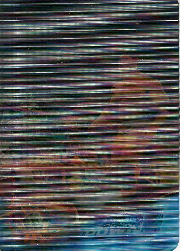WWE Prominter Animotion 2005 Batista #131