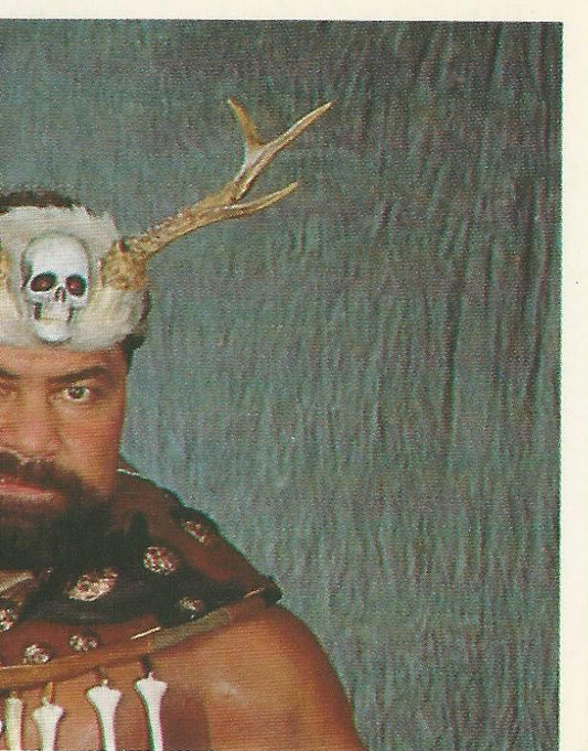 WWF Merlin Sticker Collection 1990 Barbarian #131