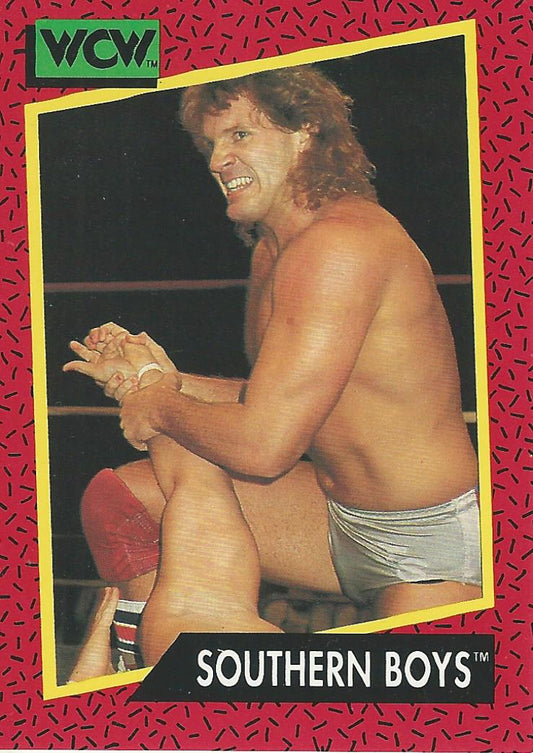 WCW Impel 1991 Tracy Smothers #131