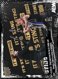 6/28/23 – Sting Leapt From the Top of a Ladder and Through a Table in a Victory at Dynamite