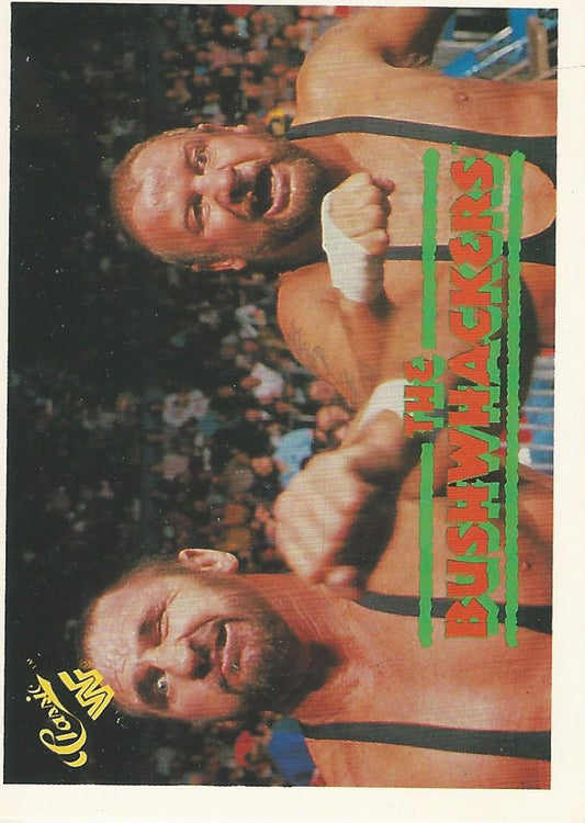 WWF Classic Trading Cards 1990 Bushwhackers No.132 trading card PW Catalog