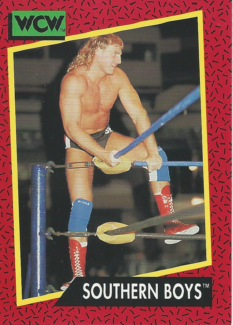 WCW Impel 1991 Steve Armstrong #132