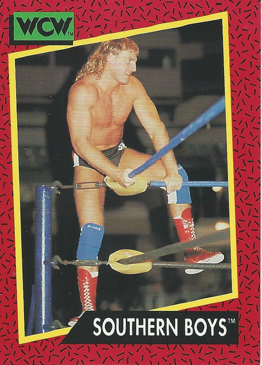 WCW Impel 1991 Steve Armstrong #132