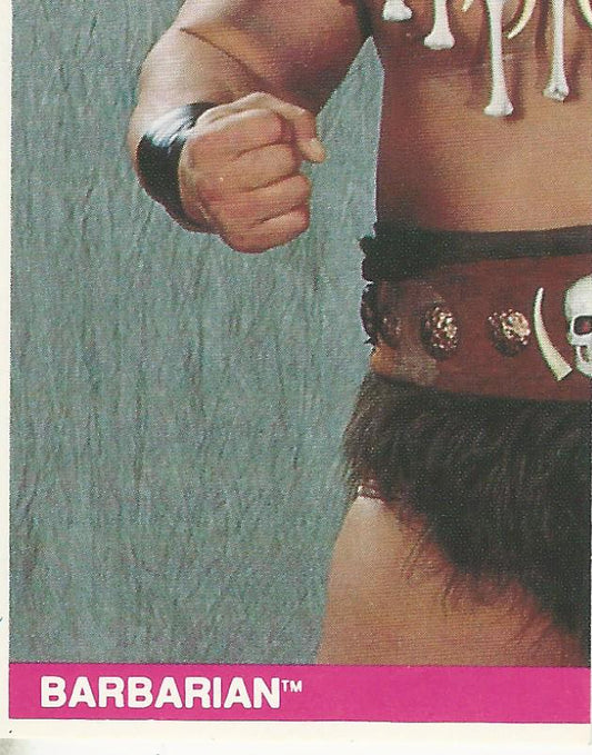 WWF Merlin Sticker Collection 1990 Barbarian #132