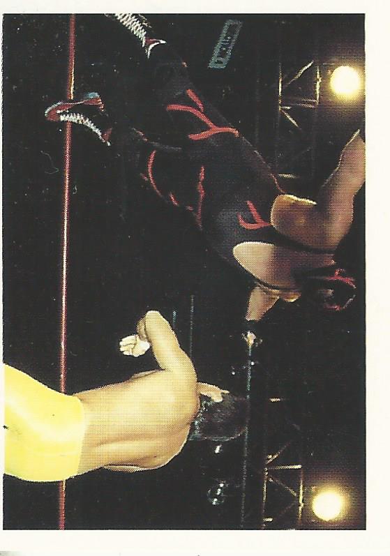 WCW Euroflash 1992 Sticker Vader #132