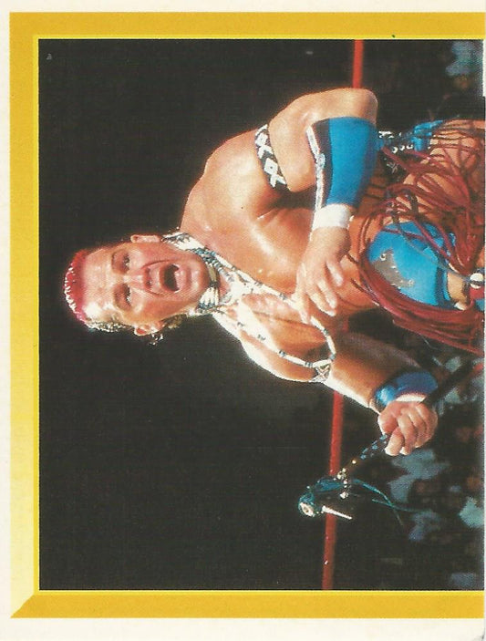 WWF Merlin Sticker 1994 Tatanka #133