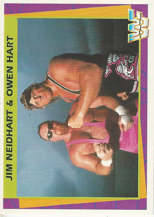 WWF Merlin 1995 Jim Neidhart and Owen Hart #133