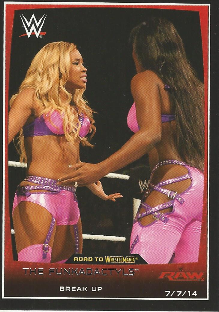 WWE Topps Road to Wrestlemania 2015 Naomi and Cameron #33