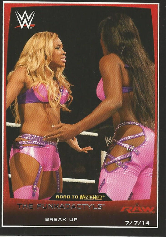 WWE Topps Road to Wrestlemania 2015 Naomi and Cameron #33