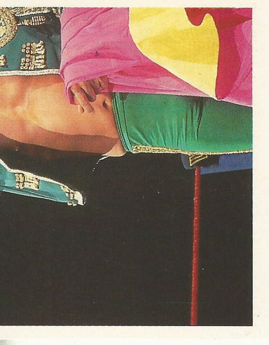 WWF Merlin Stickers 1992 Tito Santana #133