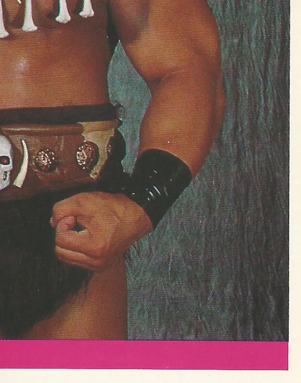 WWF Merlin Sticker Collection 1990 Barbarian #133