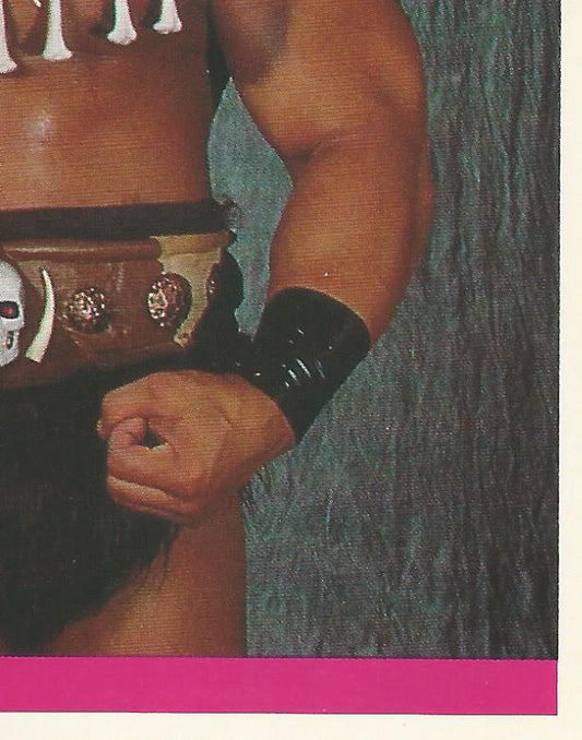 WWF Merlin Sticker Collection 1990 Barbarian #133