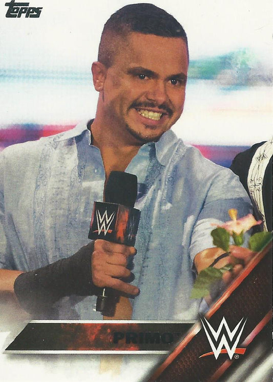 WWE Topps Then Now Forever 2016 Primo #134