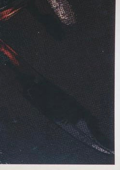 Konnan trading card PW Catalog