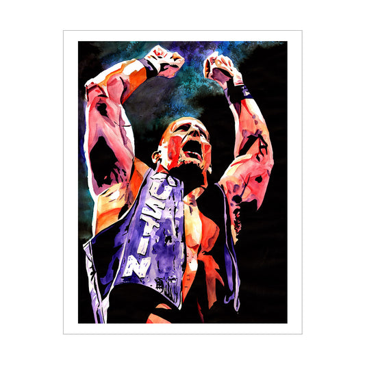 Stone Cold Steve Austin Rob Schamberger 11 x 14 Art Print Wall art PW Catalog