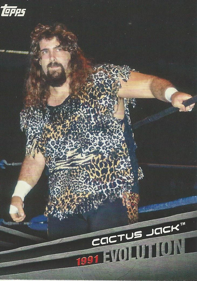 WWE Topps 2018 Mick Foley E35 trading card PW Catalog