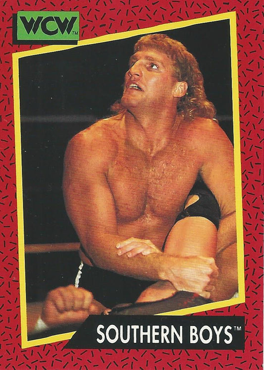 WCW Impel 1991 Steve Armstrong #135