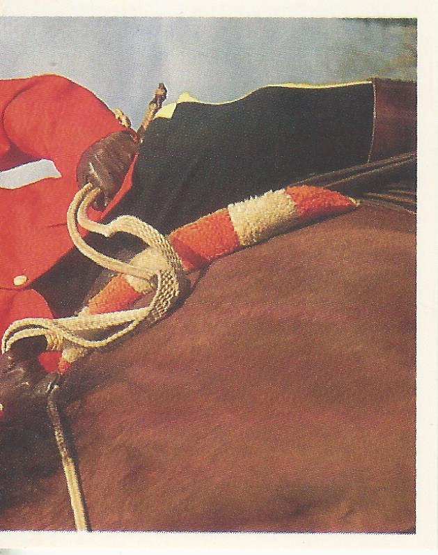 WWF Merlin Stickers 1991 The Mountie #135
