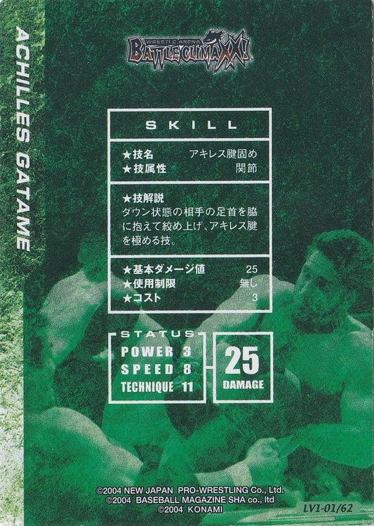 Achilles Gatame - image 2