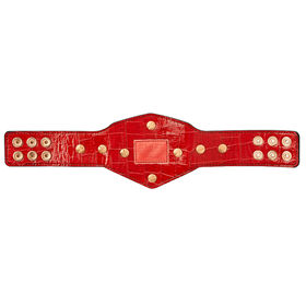 Stone Cold Steve Austin Championship Mini Replica Title