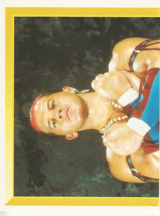 WWF Merlin Sticker 1994 Tatanka #136