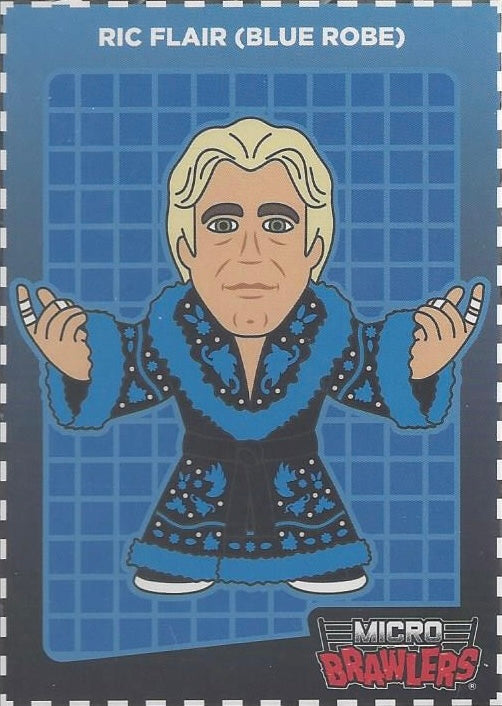 RIC Flair (Blue Robe)