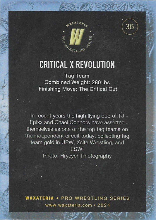 Critical X Revolution trading card PW Catalog