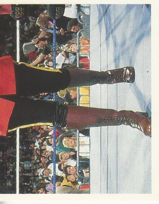WWF Merlin Stickers 1991 The Mountie #137